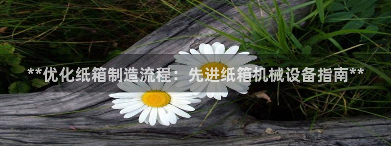 九游j9