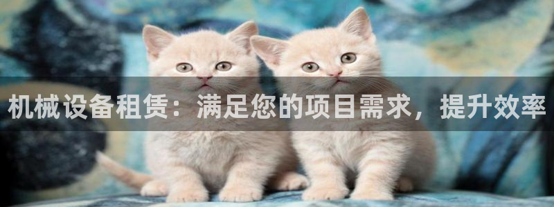j9九游会官网