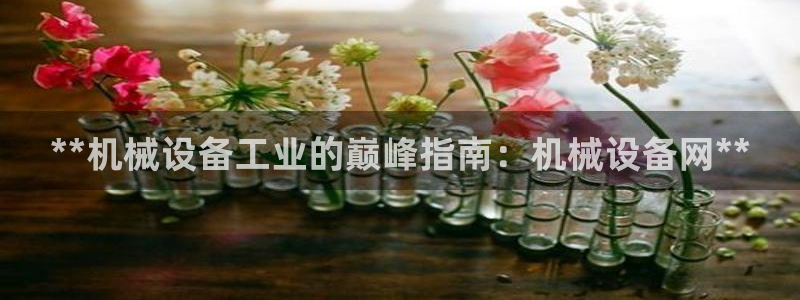 九游会平台app