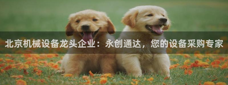 J9九游会ag