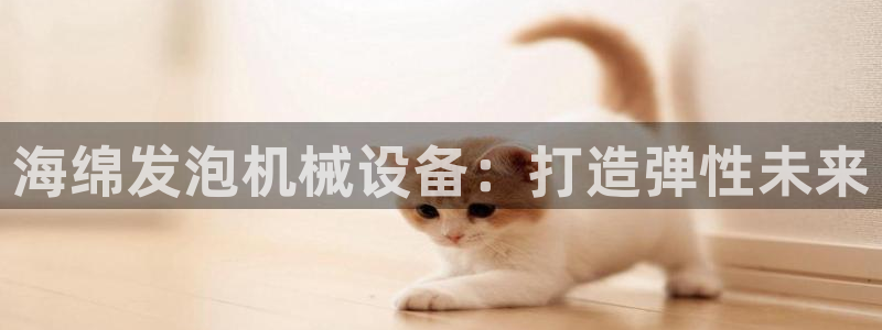 j9九游会
