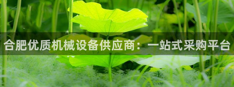 九游会ag登陆