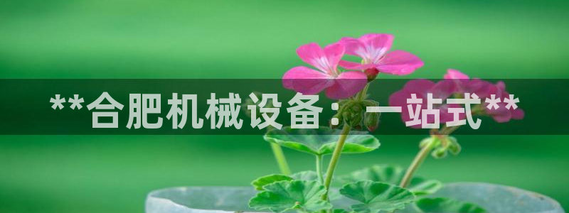 九游会官网网址