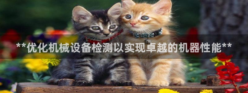 九游j9官网
