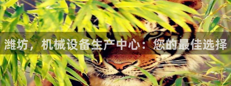 九游会首页登陆