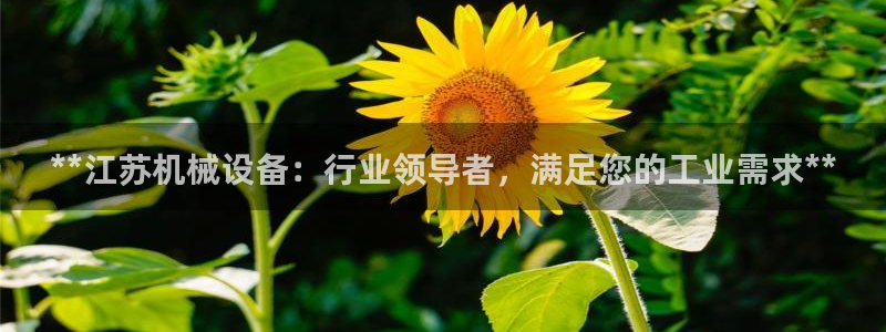 九游会游戏登录