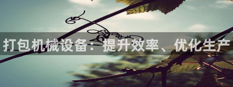 J9九游会老网站