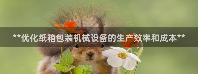 九游会在