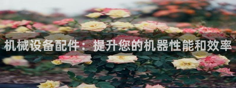 J9九游会九游国际版