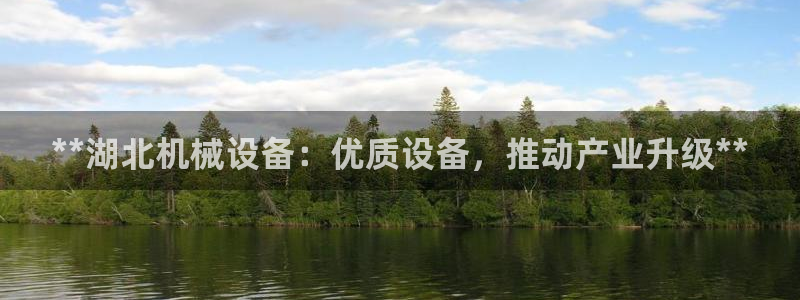 九游j9