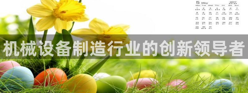 九游j9会