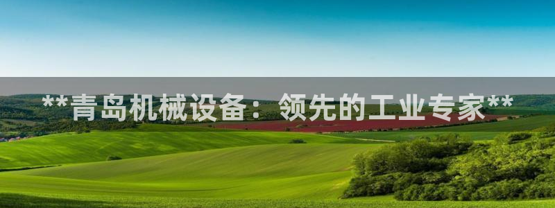 九游会国际厅有限责任公司