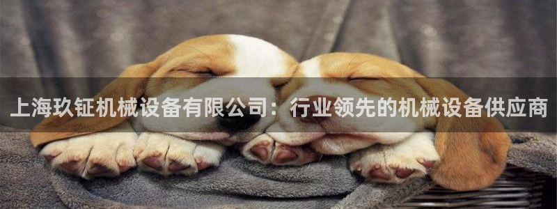 九游会视讯
