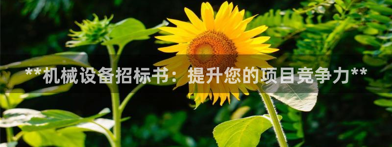9游会app下载