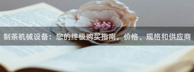 j9九游会真人游戏第一