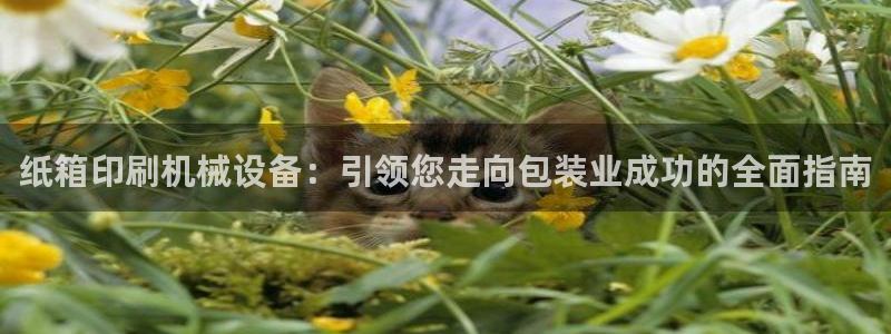 九游会视讯网站