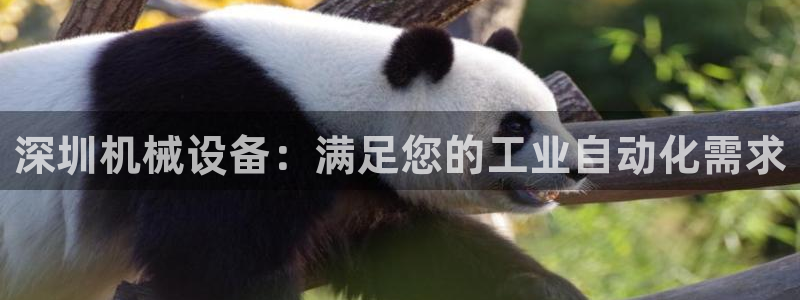 j9九游会首页入口试