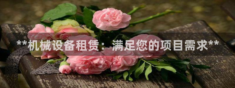 J9九游会J9