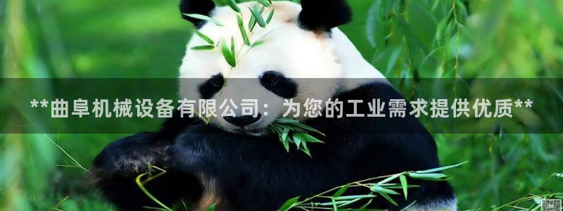 j9九游会app下载
