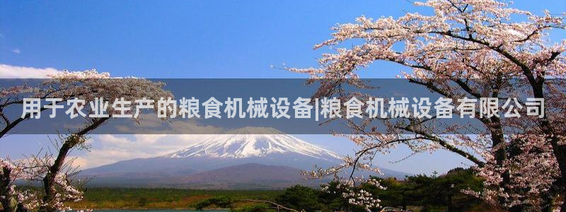 九游会是什么