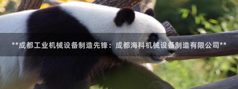 ag九游会下载