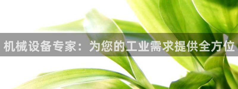 j9九游会游戏