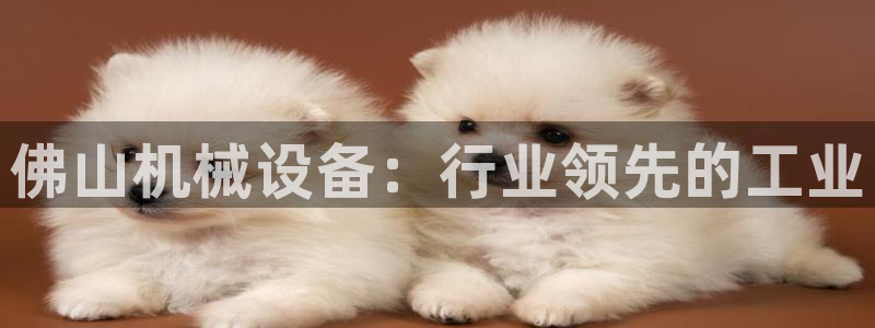 j9九游会app官网下载