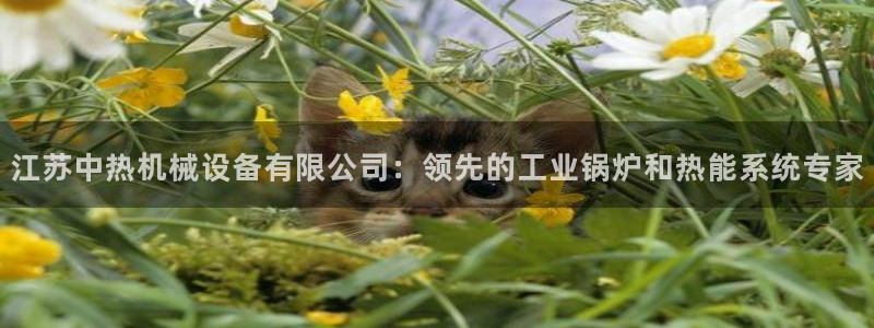 九游会中国j9