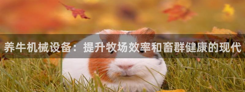 九游会vip