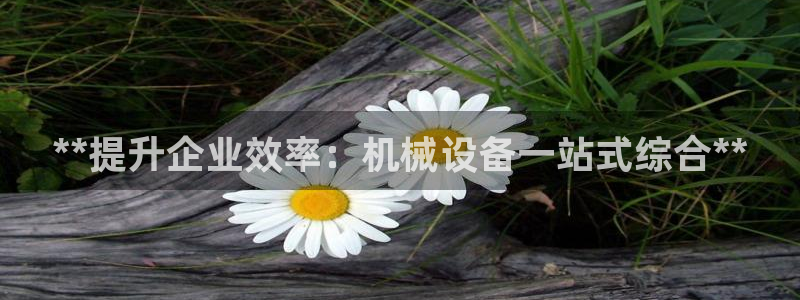 九游会老哥论坛