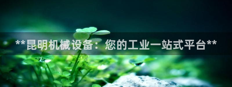 j9九游会导航