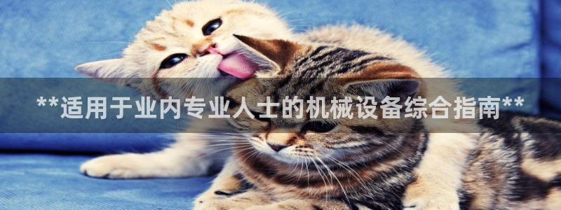 j9九游登陆