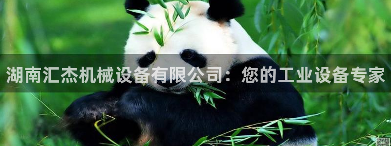 九游会黑吗