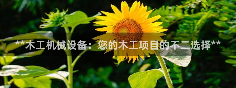 j9vm