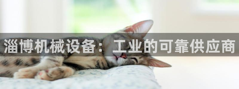 九游会j9国际站 - j9游会官方网页版