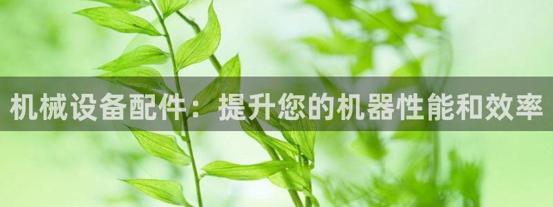 九游会集团货币