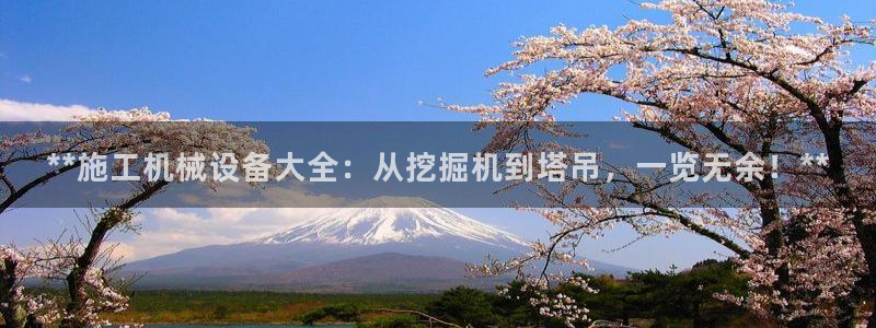 九游会集团正规吗