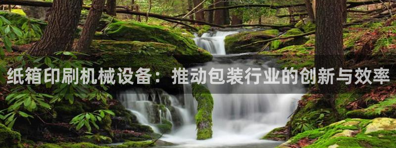 九游会网址最新