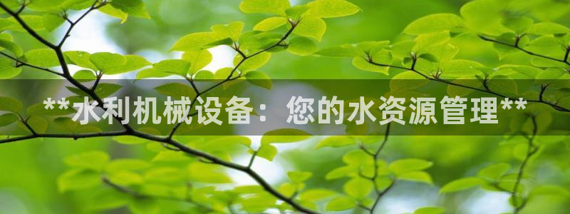 九游会官网进入口