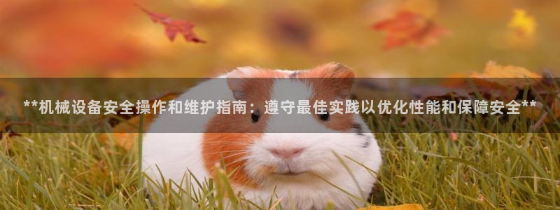 九游会app官方下载