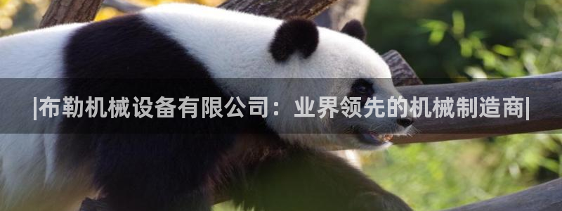 九游会是干嘛的