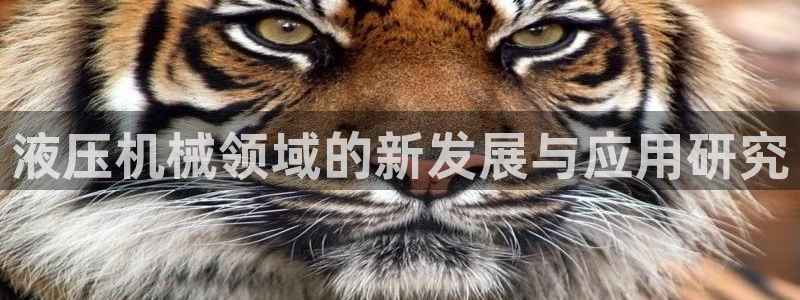J9九游会官网app