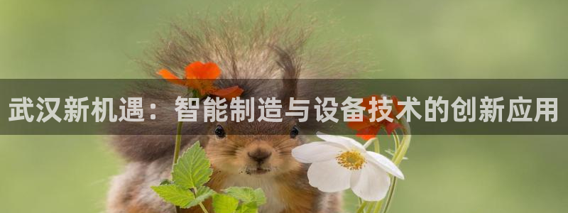 九游会直营