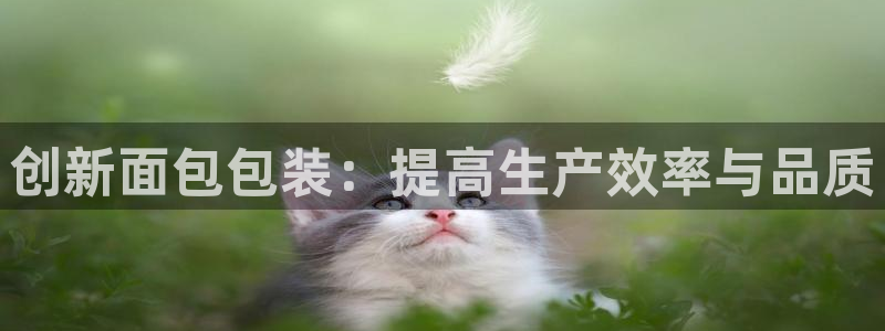 j9363九游会首页