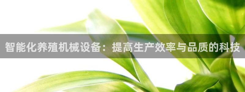 ag九游会登录j9入口