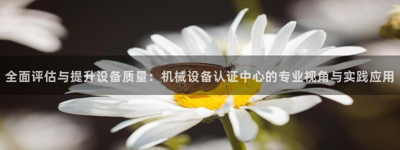 九游会网址在线玩：全