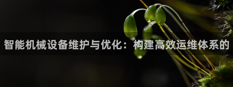 九游会亚洲第一