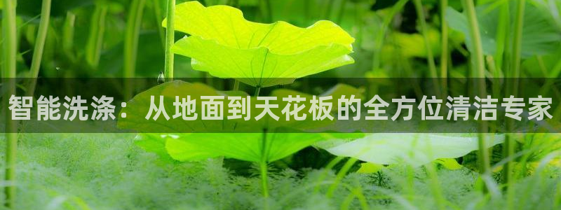 九游j9会