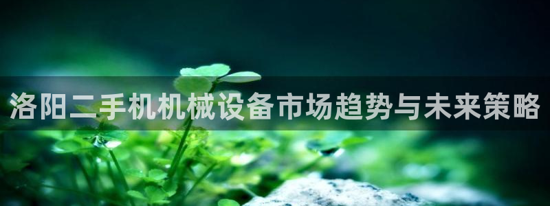 九游会官网页登录：洛
