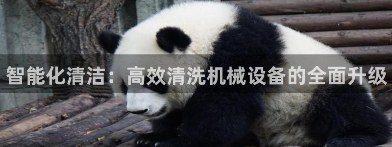 九游会AG在线平台